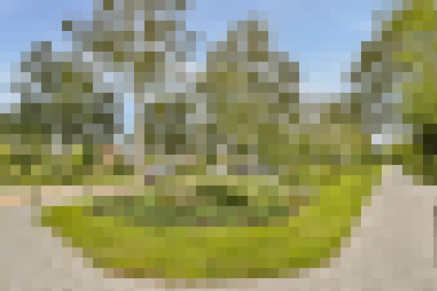 Frans Halslaan 58 Oegstgeest thumbnail 28