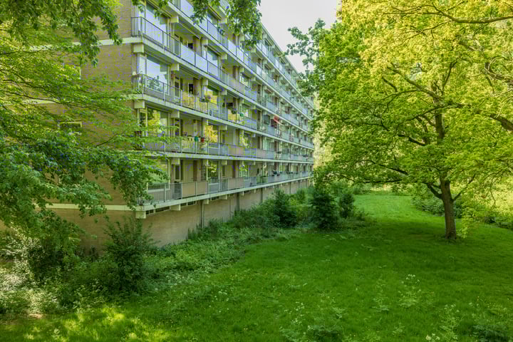 Frans Halslaan 59 dans Oegstgeest photo