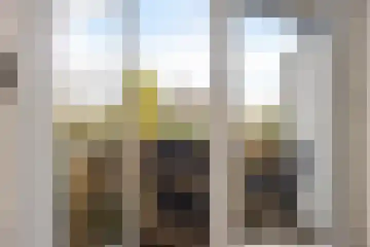 Frans Halslaan 59 Baarn thumbnail 7