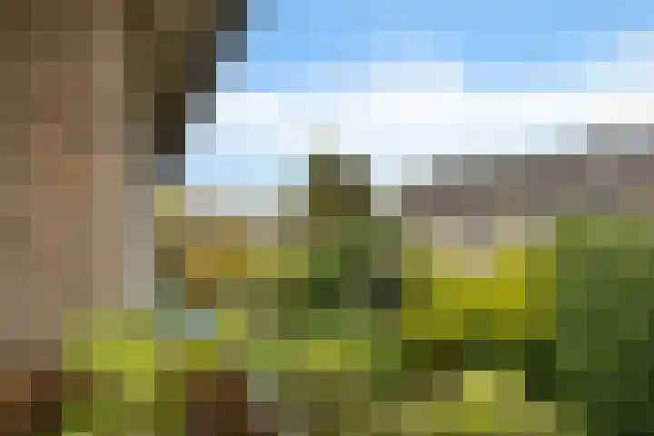 Frans Halslaan 59 Baarn thumbnail 8