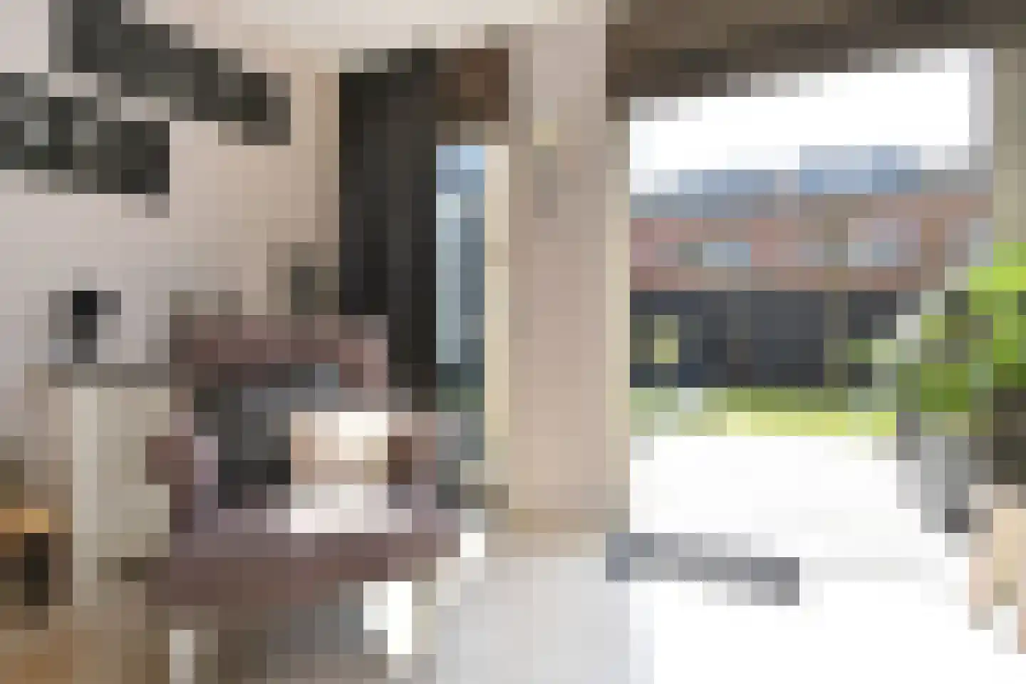 Frans Halslaan 6 Bergschenhoek thumbnail 10