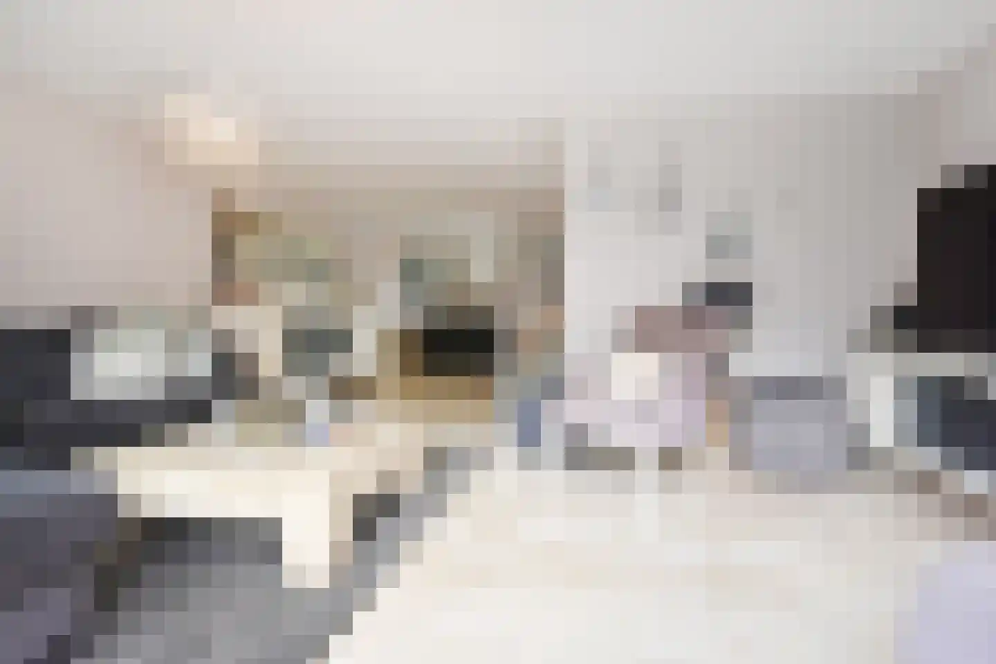 Frans Halslaan 6 Bergschenhoek thumbnail 11