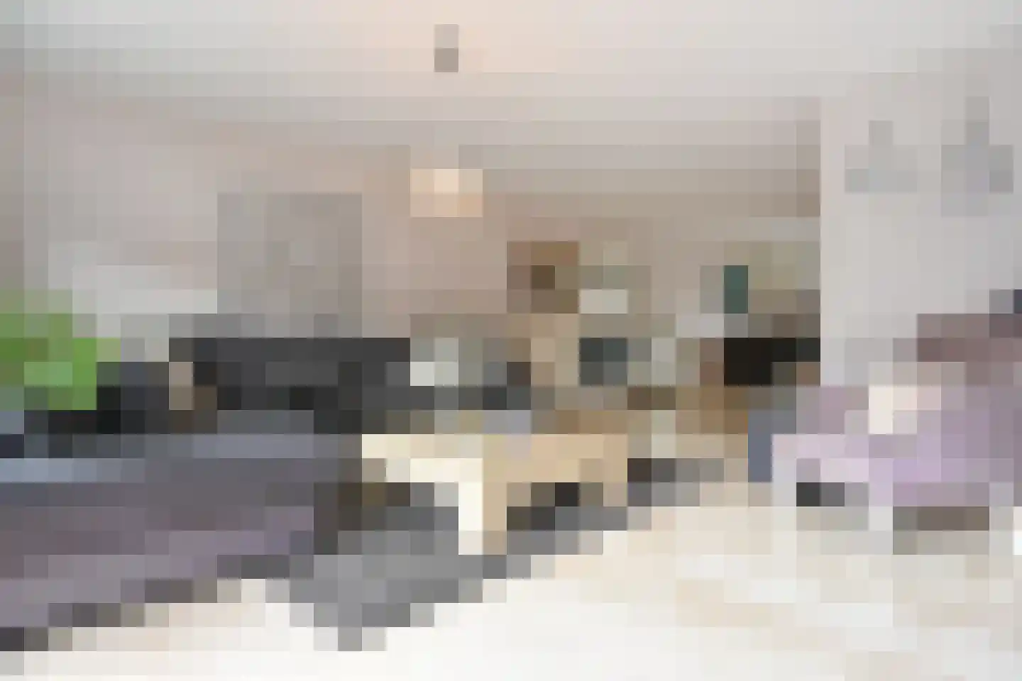 Frans Halslaan 6 Bergschenhoek thumbnail 12