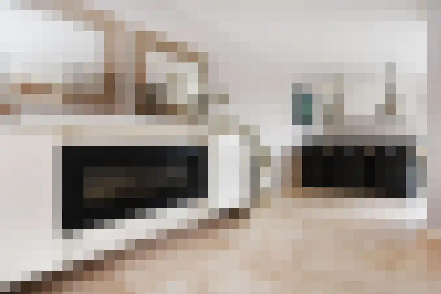 Frans Halslaan 6 Bergschenhoek thumbnail 14