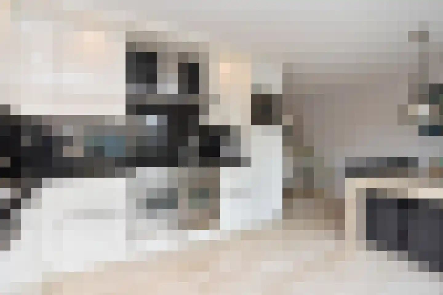 Frans Halslaan 6 Bergschenhoek thumbnail 18