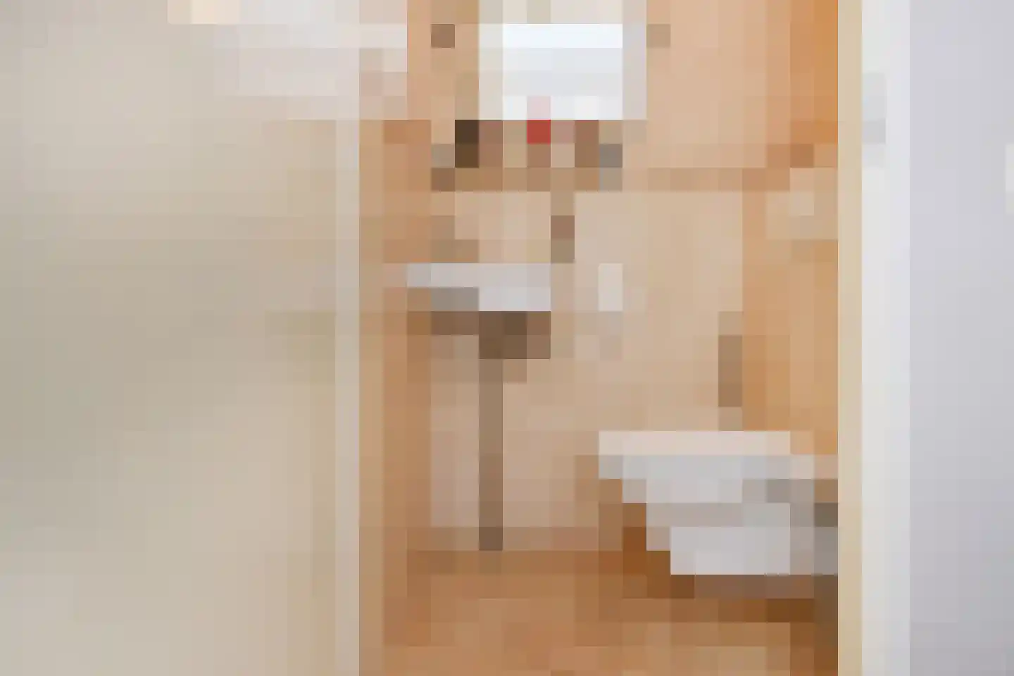 Frans Halslaan 6 Bergschenhoek thumbnail 20