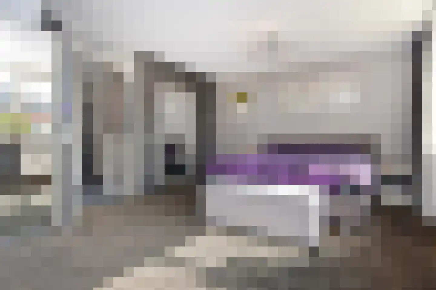 Frans Halslaan 6 Bergschenhoek thumbnail 23