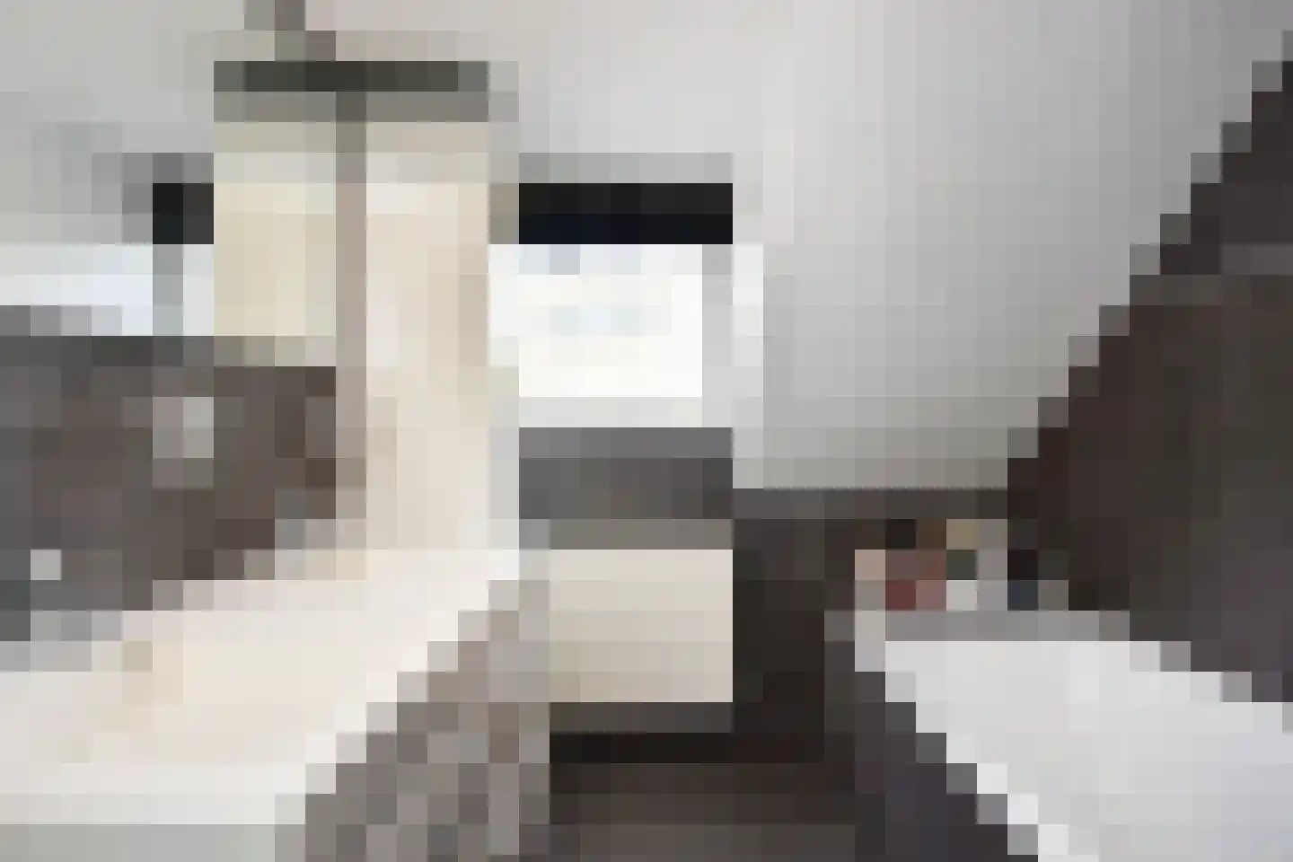Frans Halslaan 6 Bergschenhoek thumbnail 29