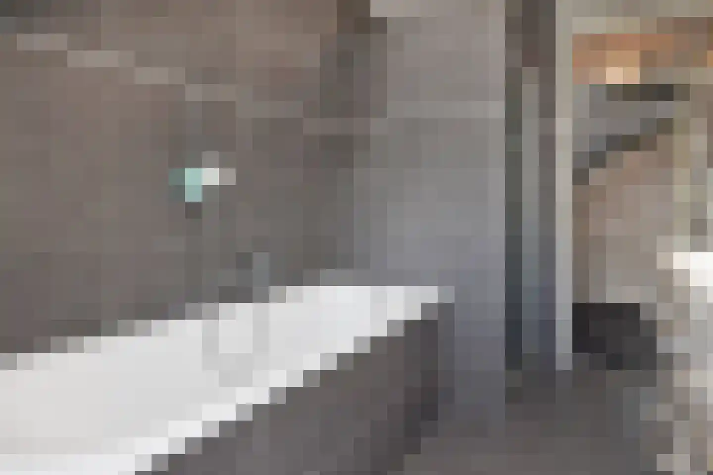 Frans Halslaan 6 Bergschenhoek thumbnail 30