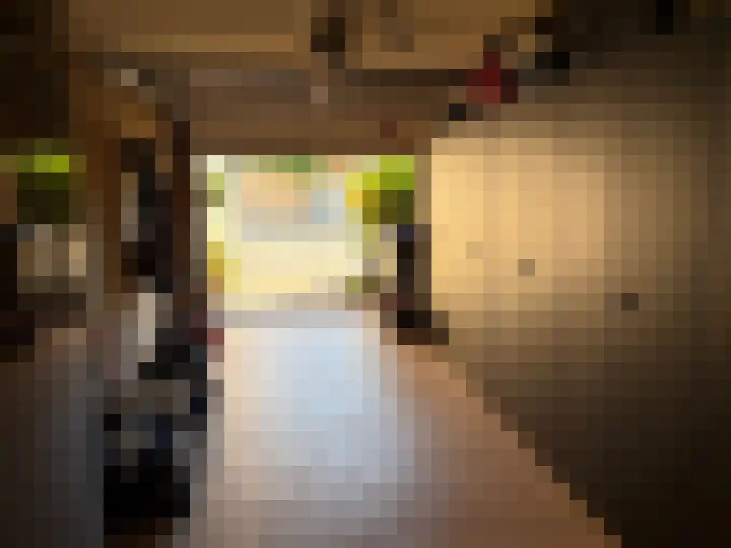 Frans Halslaan 6 Bergschenhoek thumbnail 36