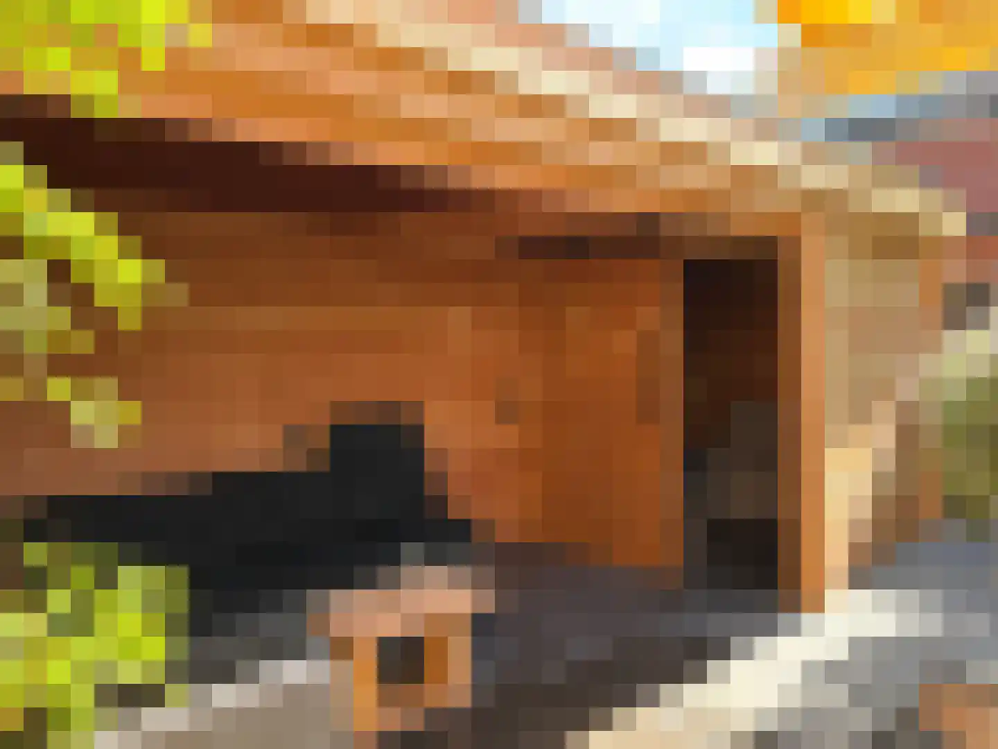 Frans Halslaan 6 Bergschenhoek thumbnail 39
