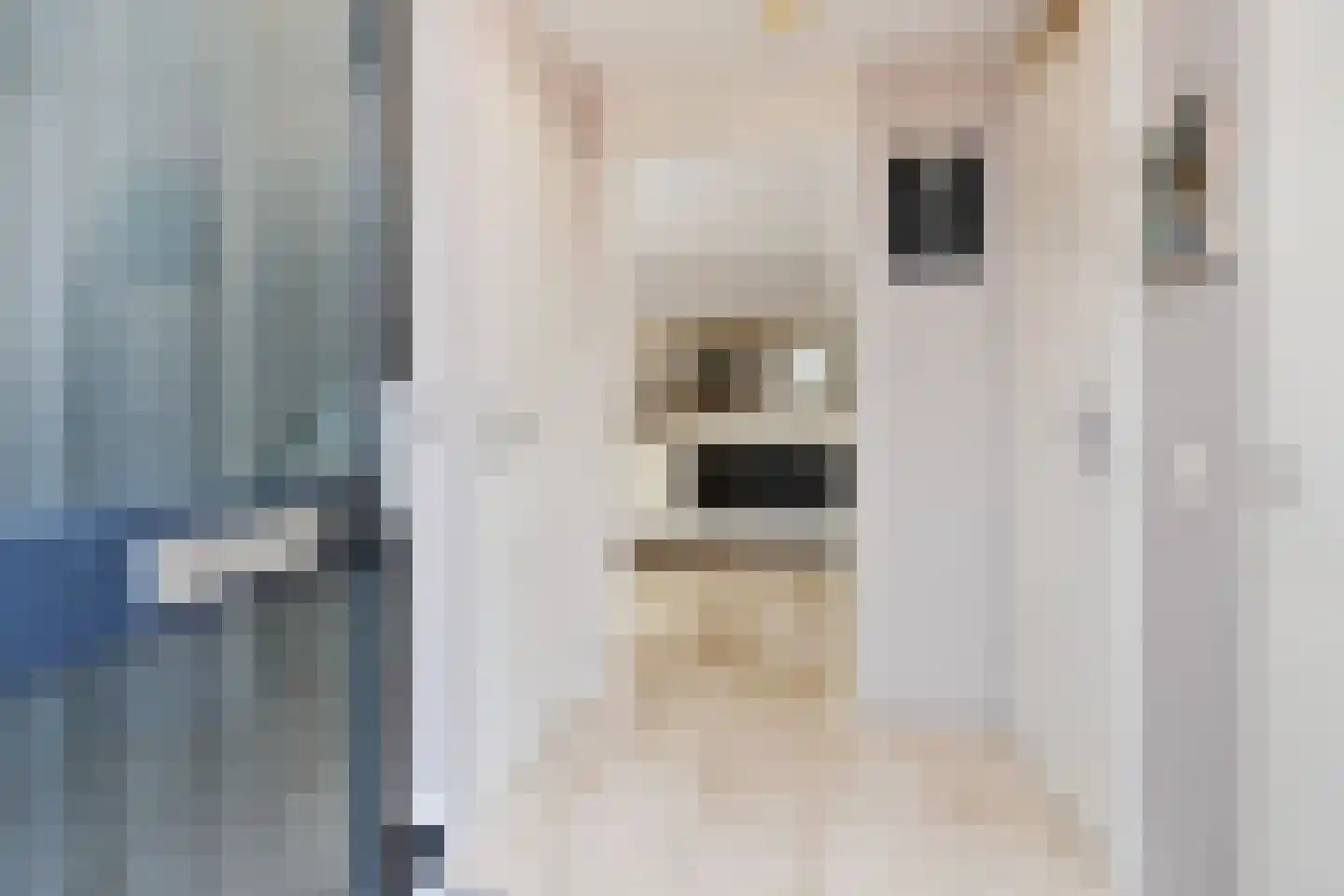 Frans Halslaan 6 Bergschenhoek thumbnail 6