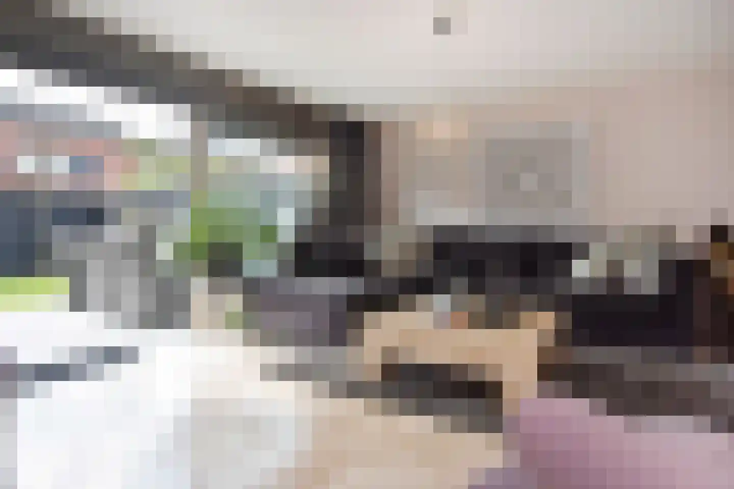 Frans Halslaan 6 Bergschenhoek thumbnail 9