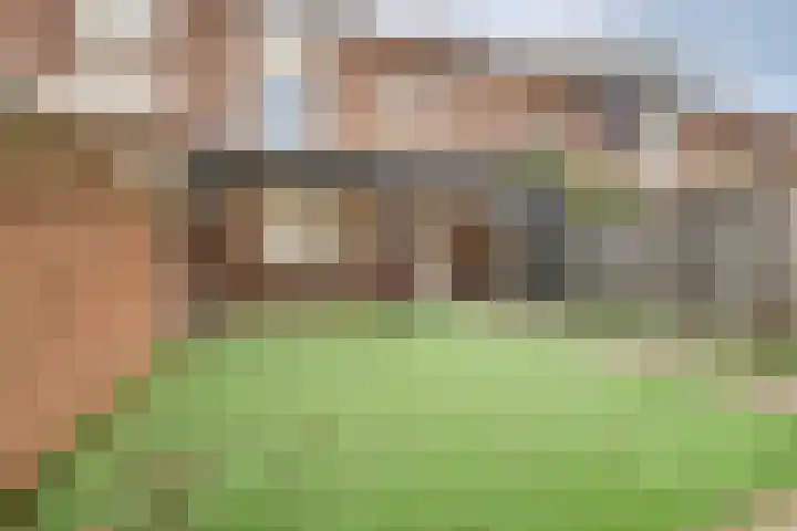 Frans Halslaan 6 Helmond thumbnail 30