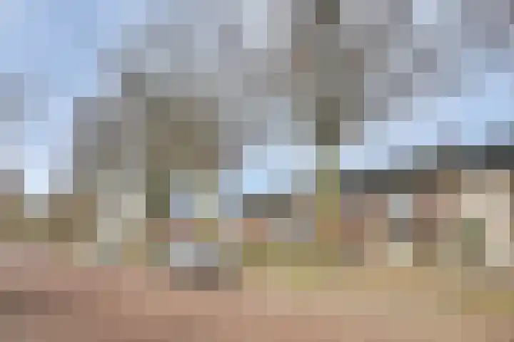 Frans Halslaan 6 Helmond thumbnail 35