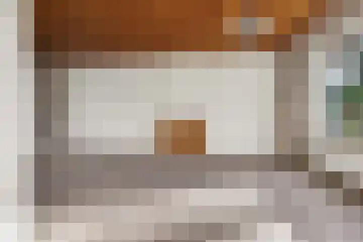 Frans Halslaan 6 Helmond thumbnail 4