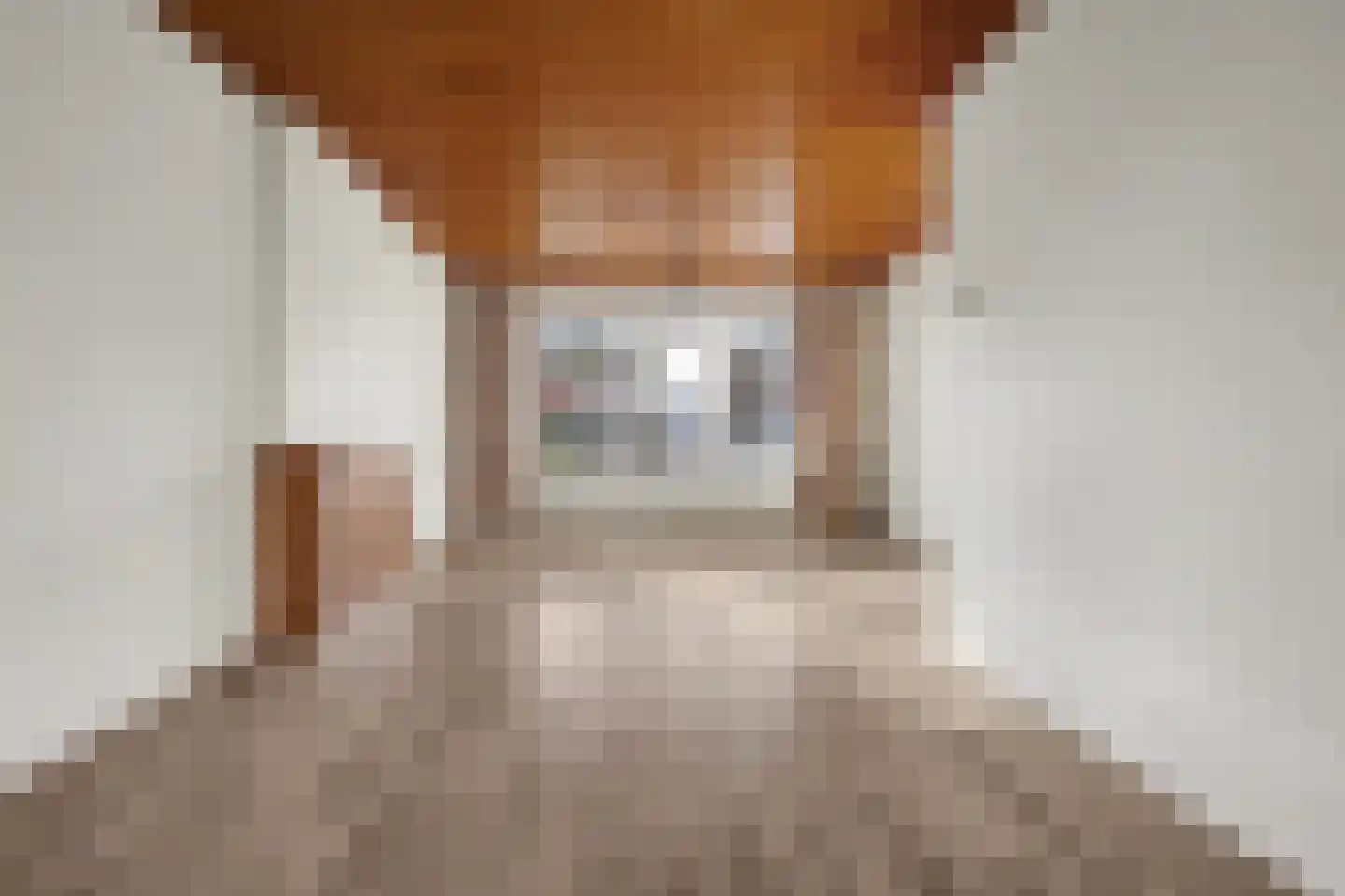 Frans Halslaan 6 Helmond thumbnail 7
