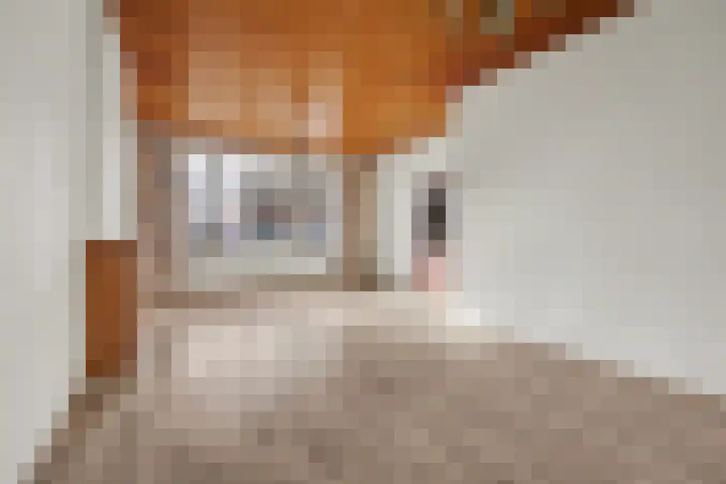 Frans Halslaan 6 Helmond thumbnail 8