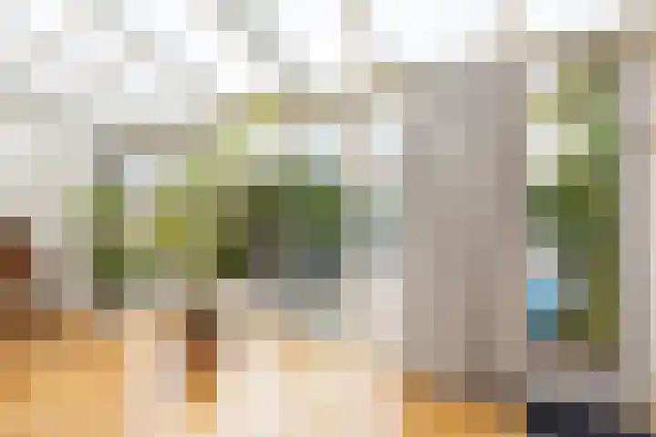 Frans Halslaan 6 Hillegom thumbnail 10