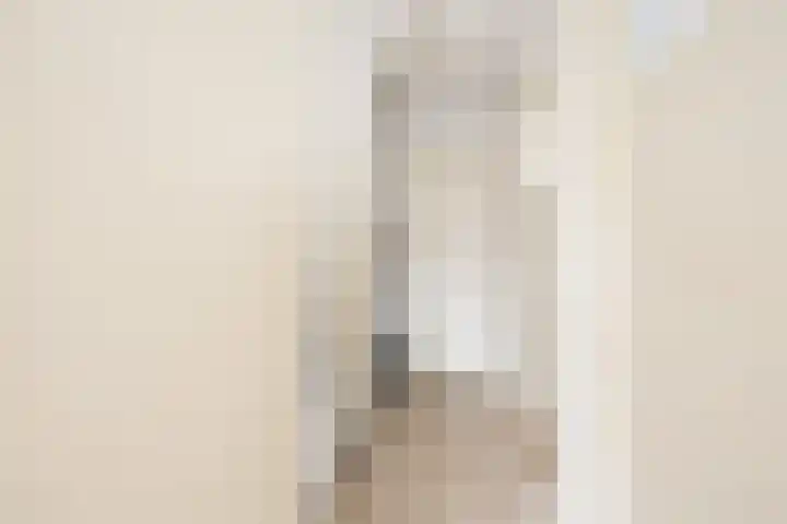 Frans Halslaan 6 Hillegom thumbnail 12