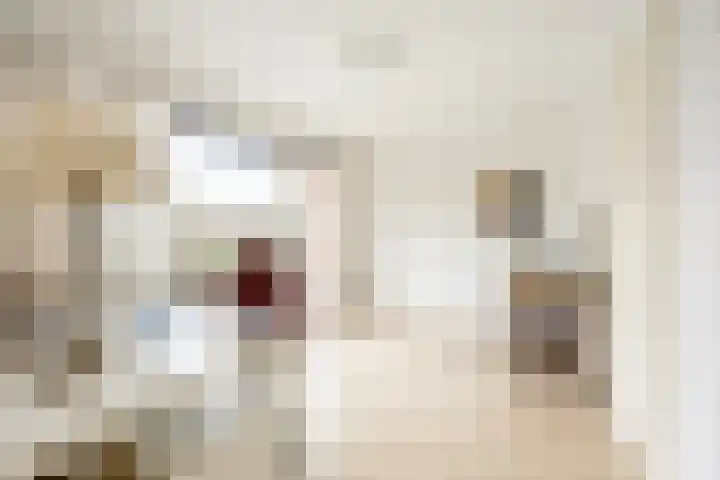 Frans Halslaan 6 Hillegom thumbnail 13