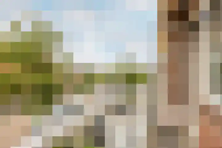 Frans Halslaan 6 Hillegom thumbnail 15