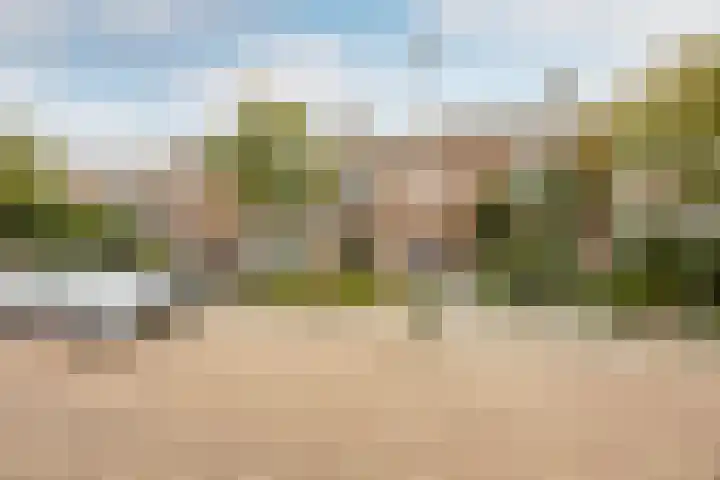 Frans Halslaan 6 Hillegom thumbnail 21