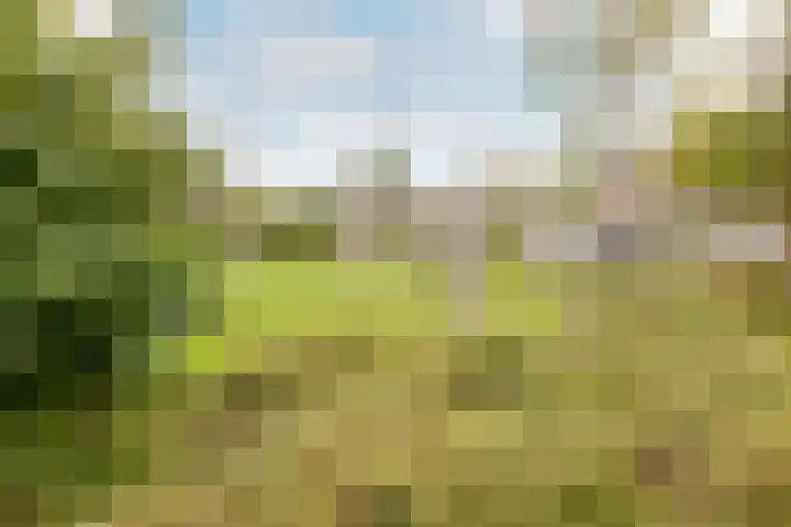 Frans Halslaan 6 Hillegom thumbnail 23