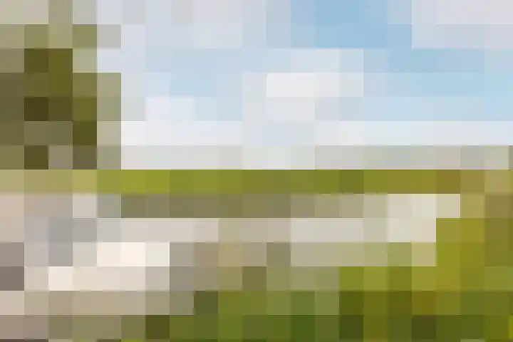 Frans Halslaan 6 Hillegom thumbnail 24