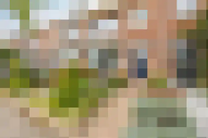 Frans Halslaan 6 Hillegom thumbnail 4