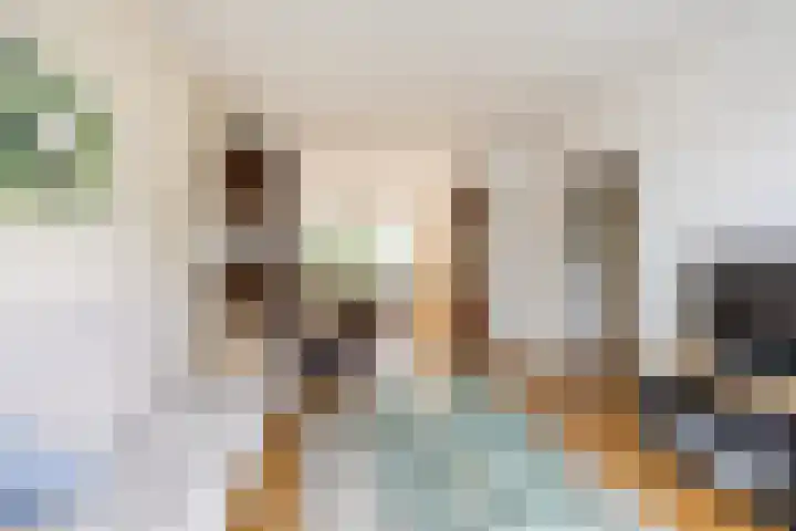 Frans Halslaan 6 Hillegom thumbnail 5