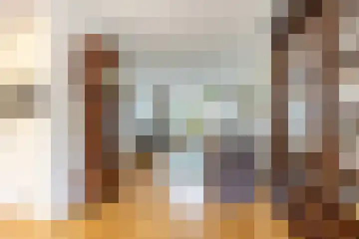 Frans Halslaan 6 Hillegom thumbnail 6