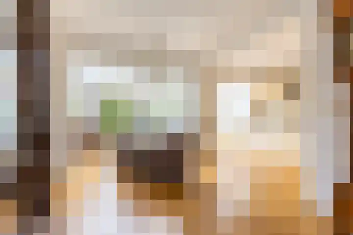 Frans Halslaan 6 Hillegom thumbnail 7