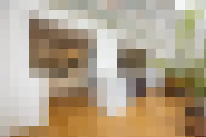 Frans Halslaan 6 Hillegom thumbnail 8