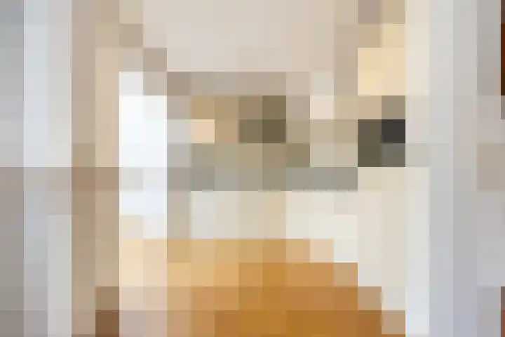 Frans Halslaan 6 Hillegom thumbnail 9