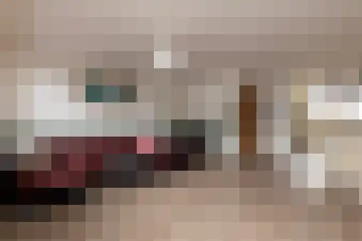 Frans Halslaan 6 Lopik thumbnail 10
