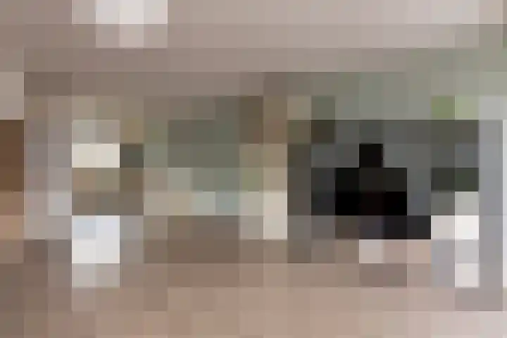 Frans Halslaan 6 Lopik thumbnail 11