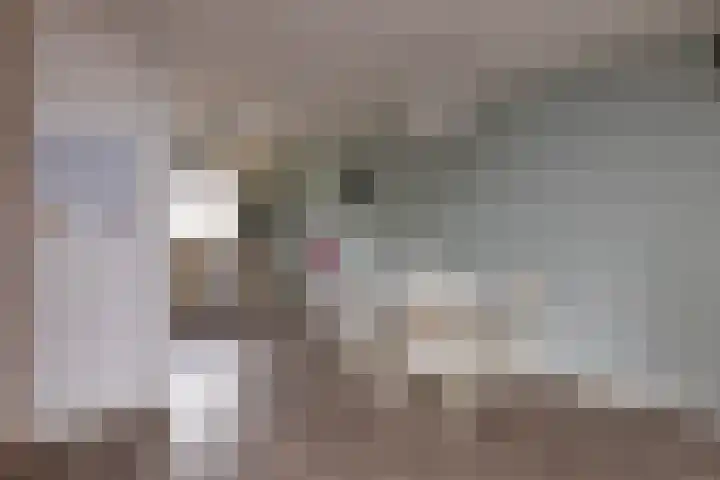 Frans Halslaan 6 Lopik thumbnail 12