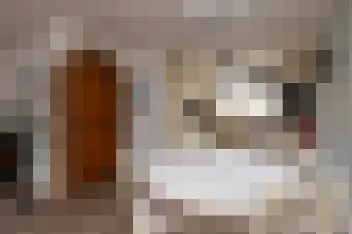 Frans Halslaan 6 Lopik thumbnail 13