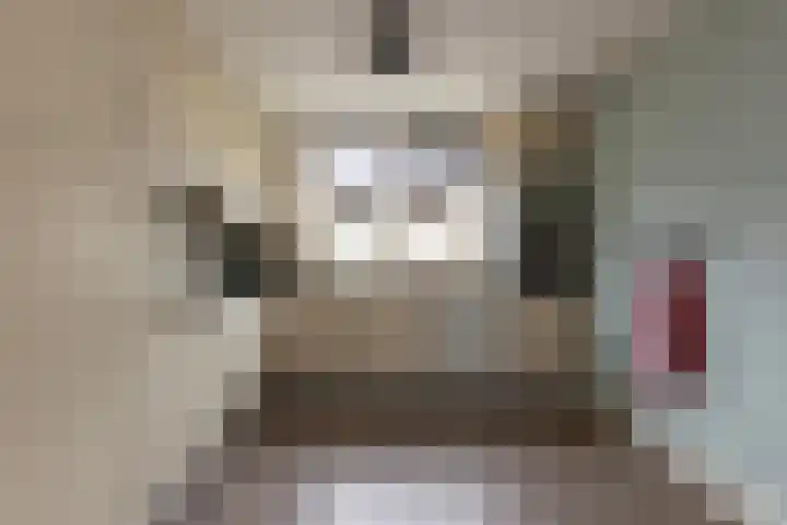 Frans Halslaan 6 Lopik thumbnail 14
