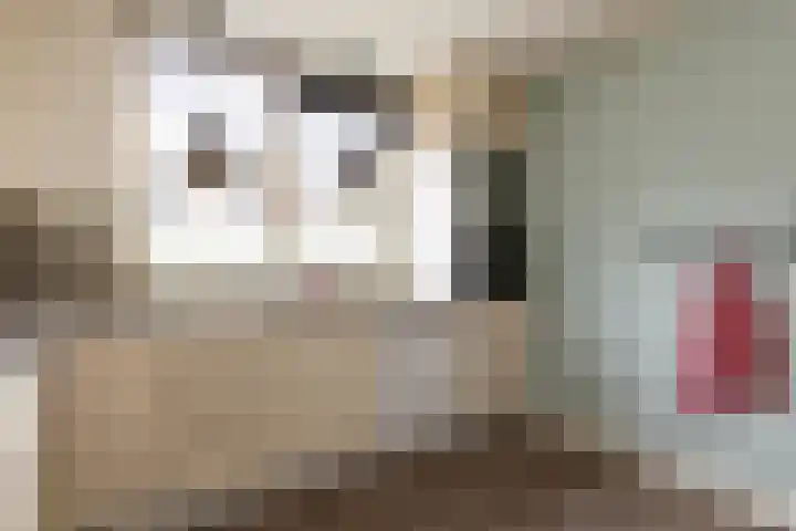 Frans Halslaan 6 Lopik thumbnail 15