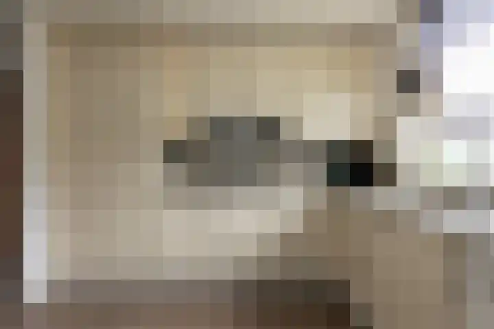 Frans Halslaan 6 Lopik thumbnail 16