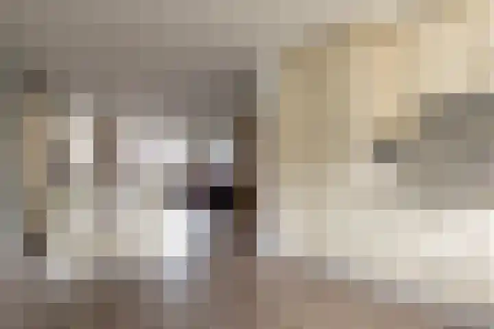 Frans Halslaan 6 Lopik thumbnail 17