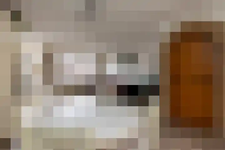 Frans Halslaan 6 Lopik thumbnail 19