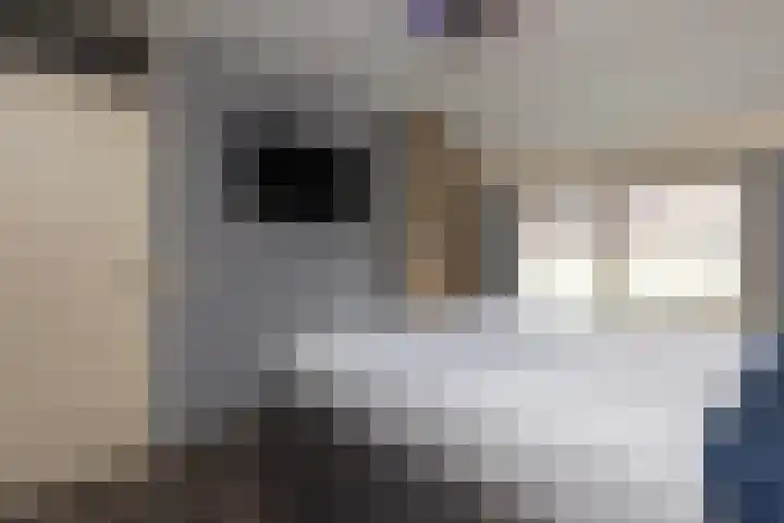 Frans Halslaan 6 Lopik thumbnail 26