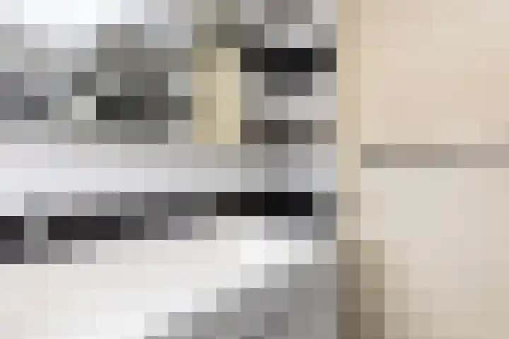 Frans Halslaan 6 Lopik thumbnail 30