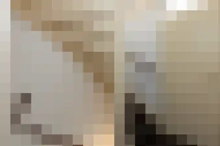 Frans Halslaan 6 Lopik thumbnail 37