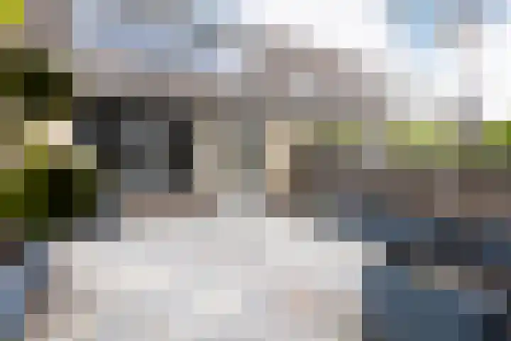 Frans Halslaan 6 Lopik thumbnail 4