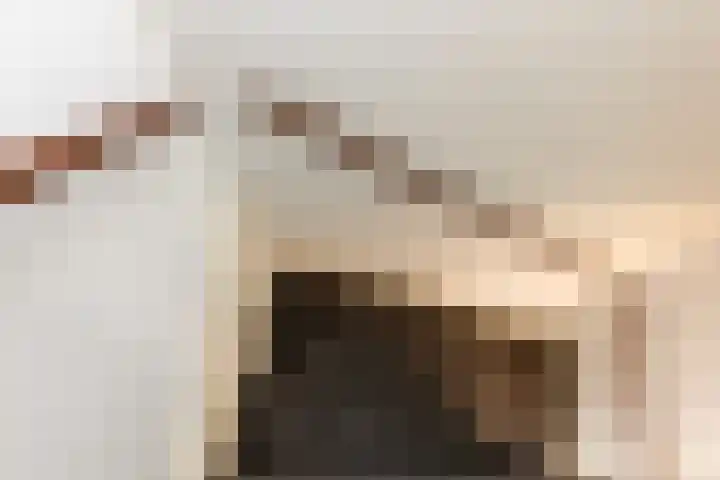 Frans Halslaan 6 Lopik thumbnail 43