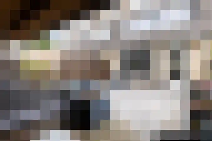 Frans Halslaan 6 Lopik thumbnail 46